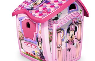 Injusa es premiada por Walt Disney Francia